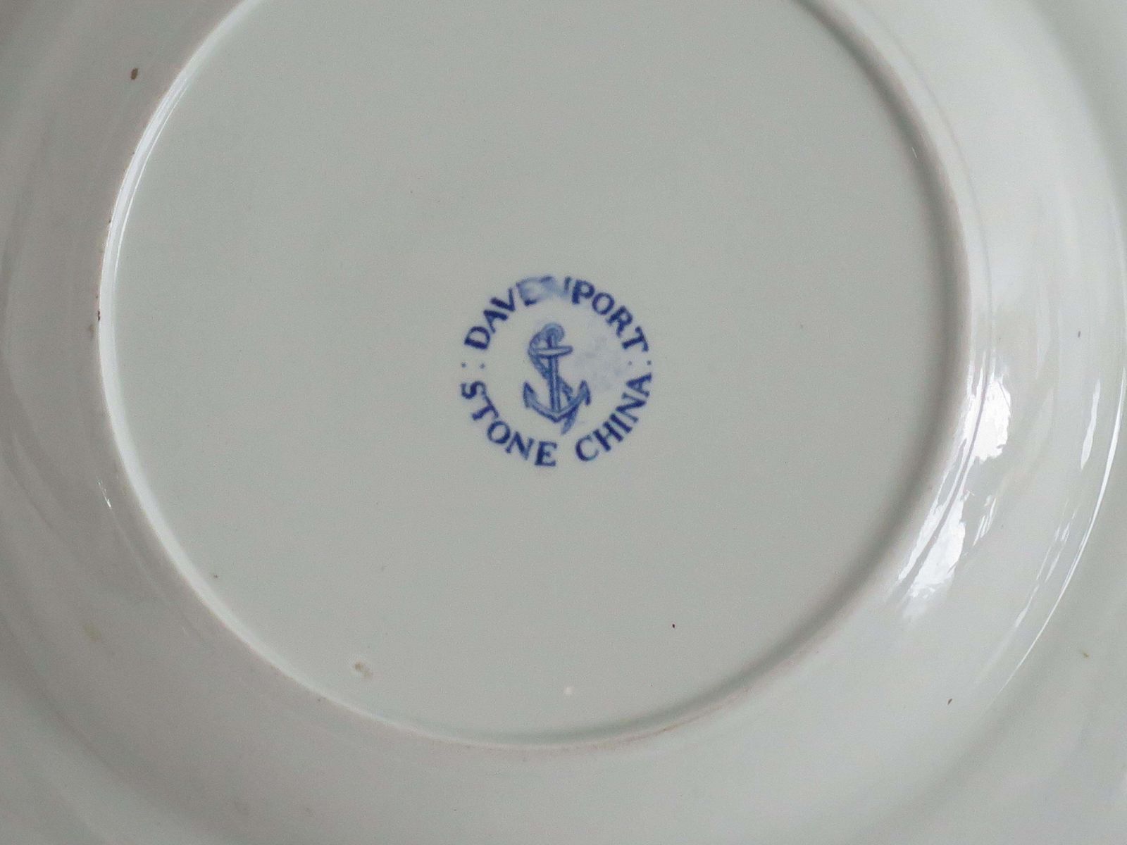 246.0 Georgian Davenport Ironstone Soup Plate Or Bowl Bamboo & Peony Ptn 15, Ca 1815 photo