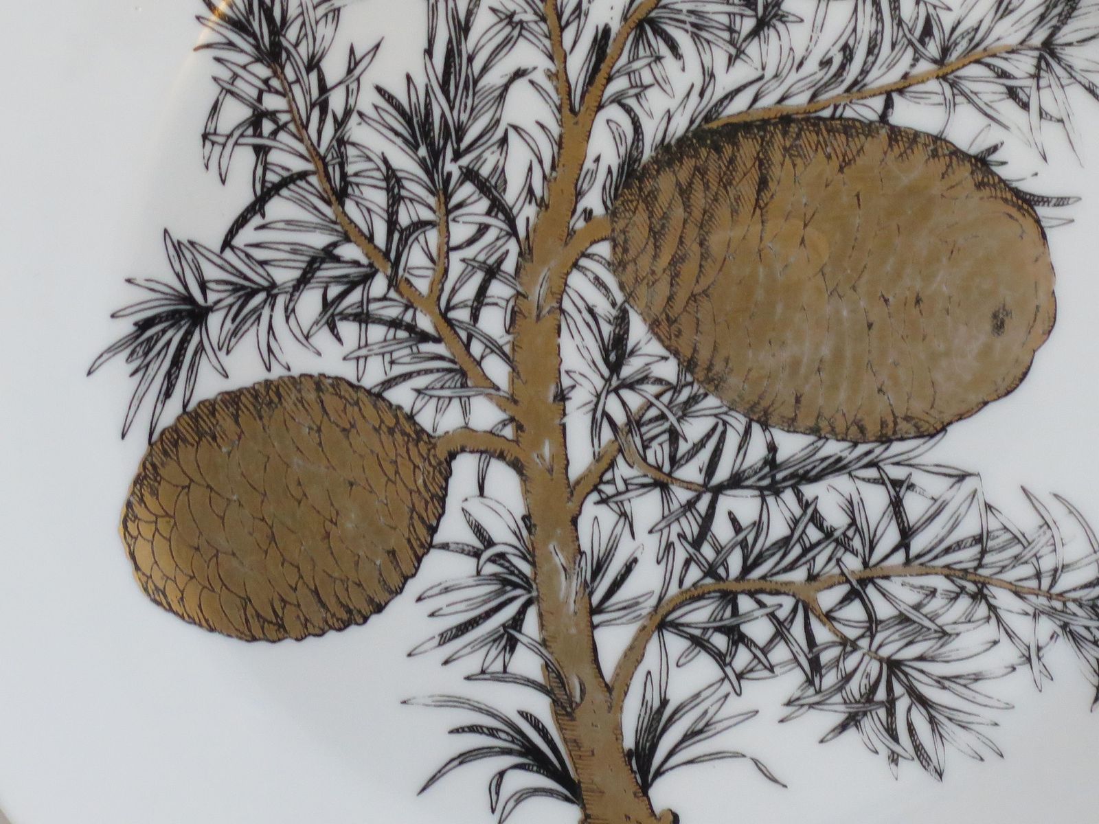 Piero Fornasetti Large Plate Gilded Acorn Ptn From Pigne Series, Circa 1950s photo Home Decor