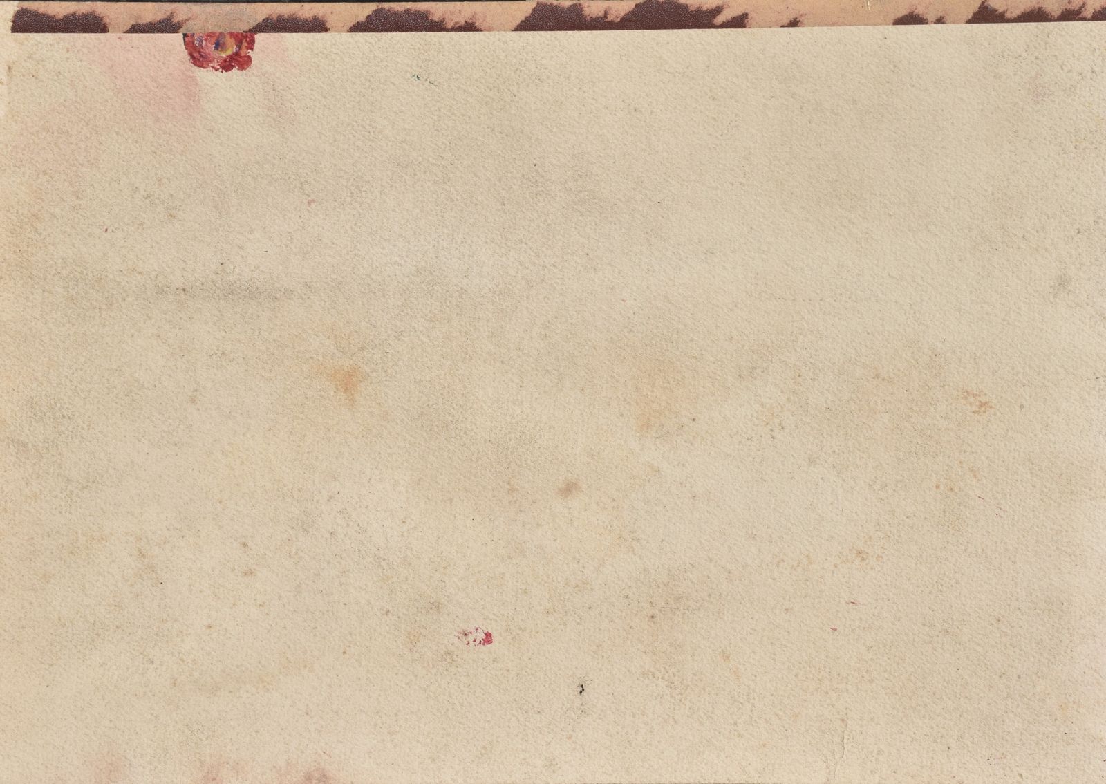 Jeannine Demay, Anemones (Circa 1920) photo for sale