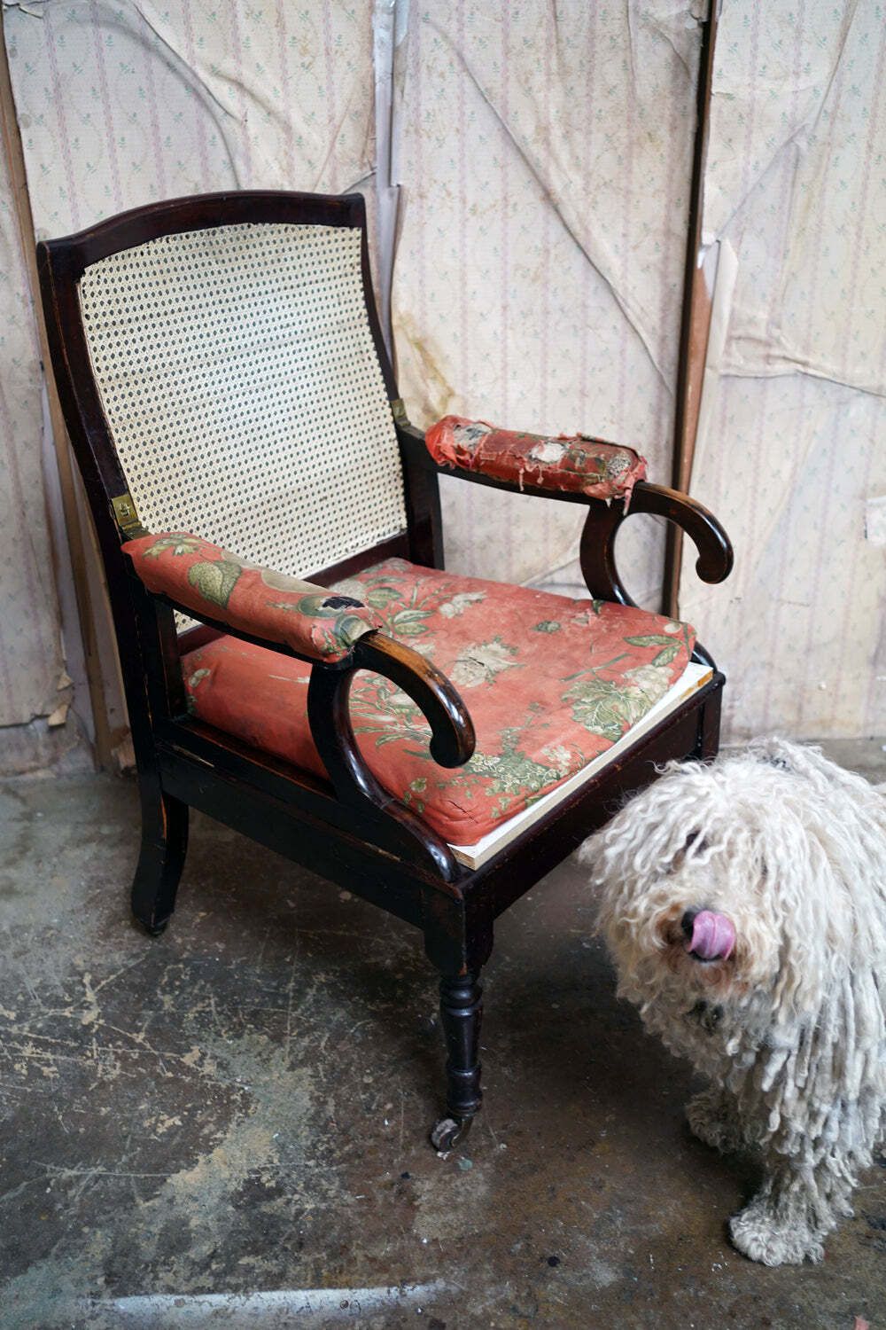 A Regency/William IV Period Mahogany Campaign & Silk Upholstered Armchair C.1825 37 photo furniture