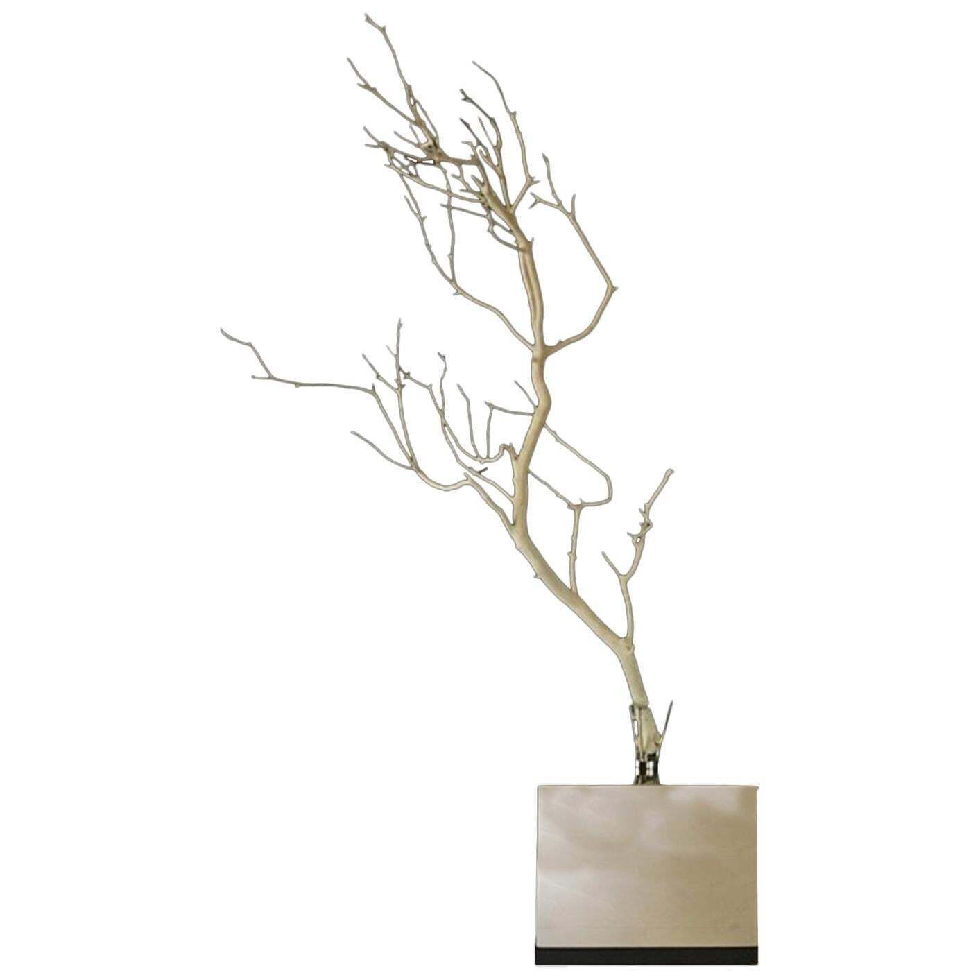 Italy Natural Abstract White Birch Branch On Chrome Stand