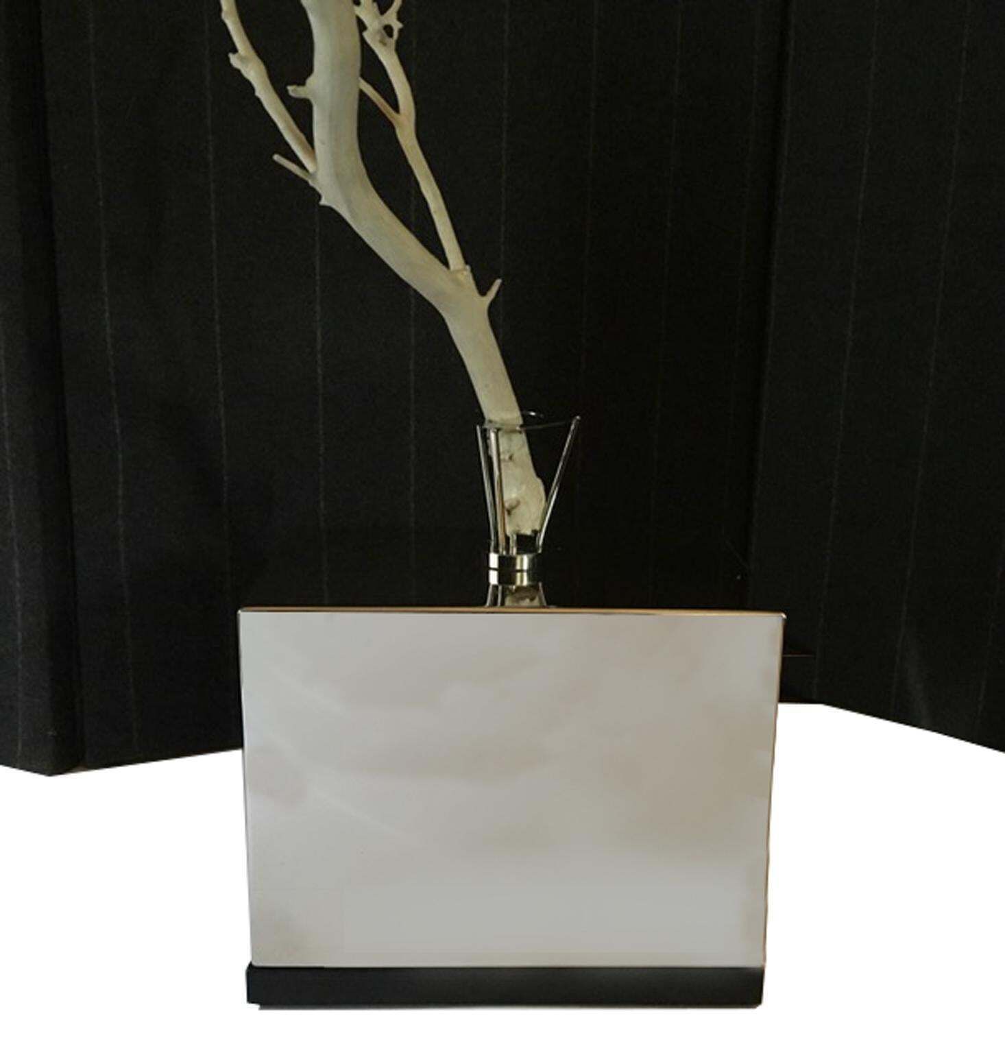 Italy Natural Abstract White Birch Branch On Chrome Stand photo Art
