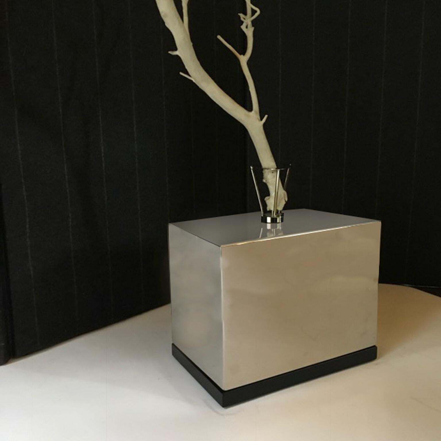Italy Natural Abstract White Birch Branch On Chrome Stand photo vinterior
