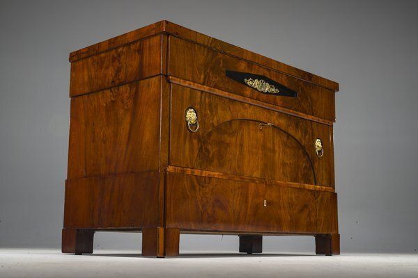 photo vintage Early 19th Century Biedermeier Mahogany Commodes, 1830s