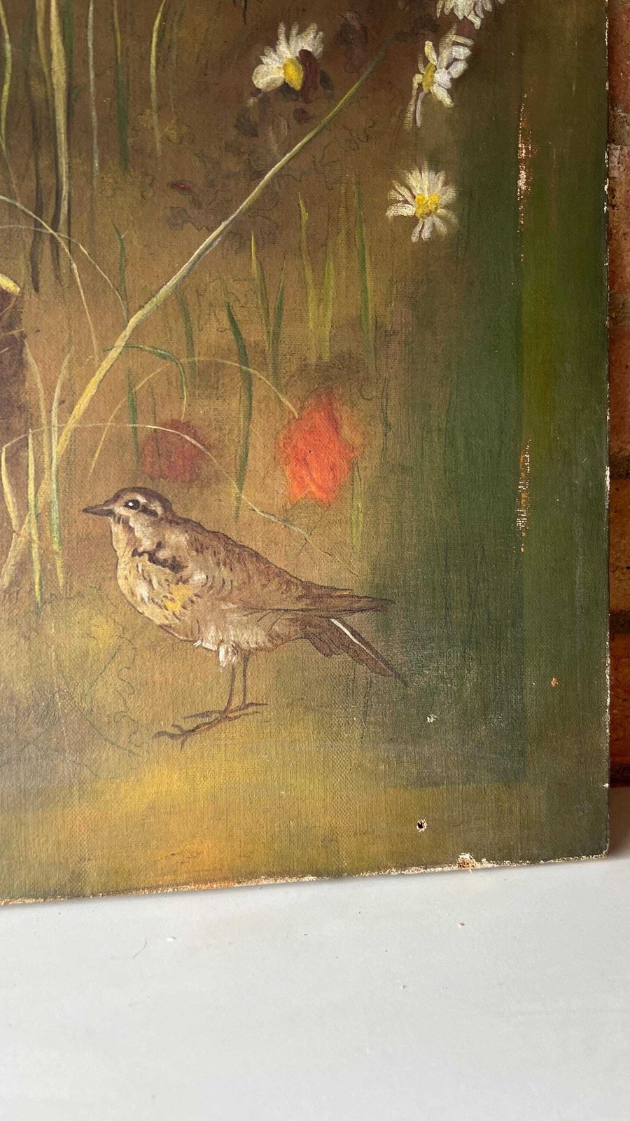 19th Century Oil Painting On Canvas – Nesting Birds In A Meadow photo Art