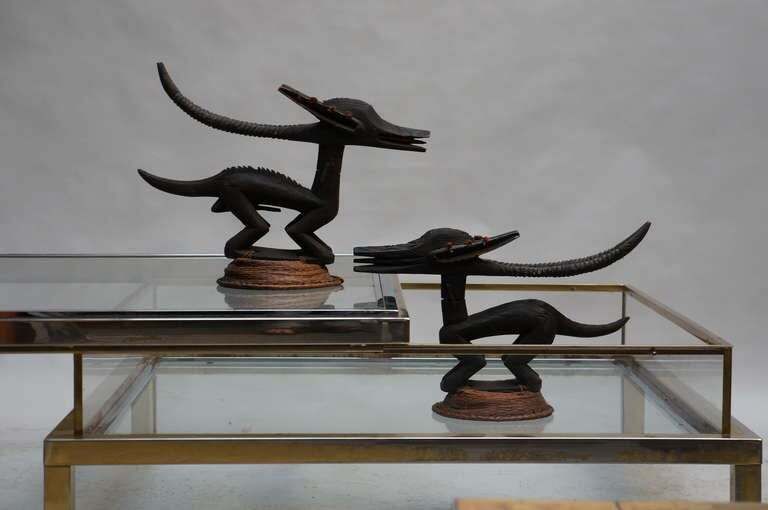 photo for sale Chi Wara Headdresses Animal Sculpture , Bambara People, Mali