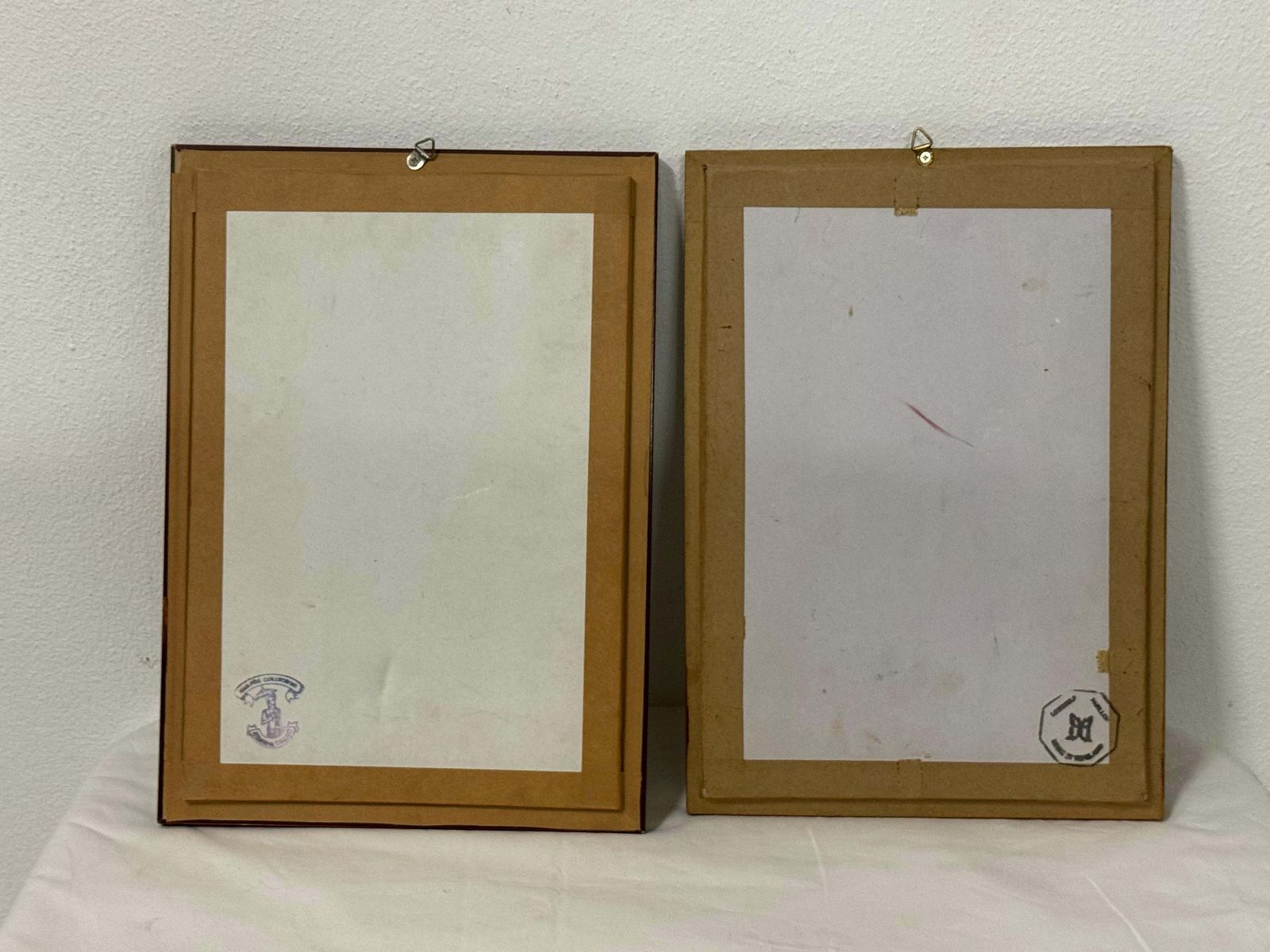 Butterfly Taxidermy Entomology Display Cases photo vinterior
