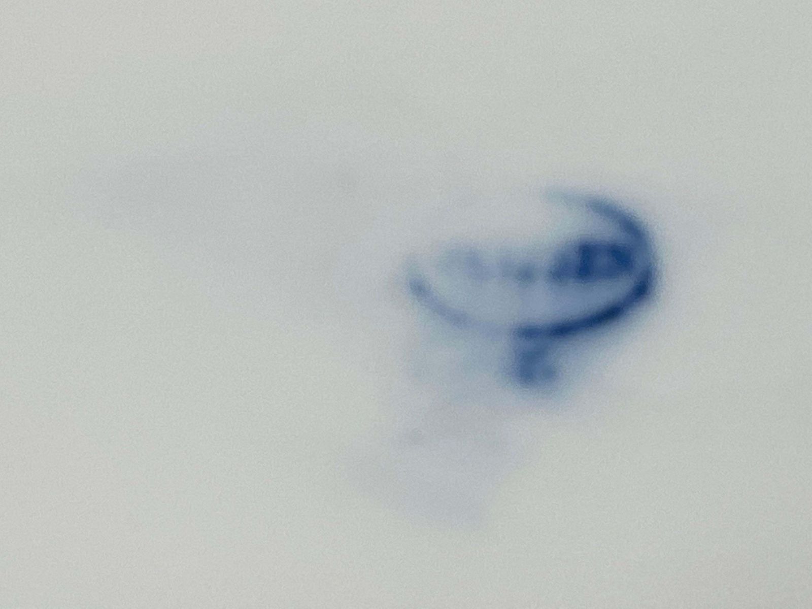 photo for sale Carl Teichert, Meissen Porcelain Blue Onion Platter, Circa 1880s