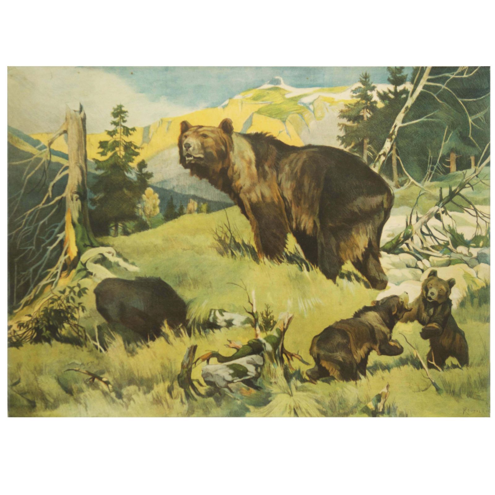 Antieke Duitse Schoolwandkaart "Bears"