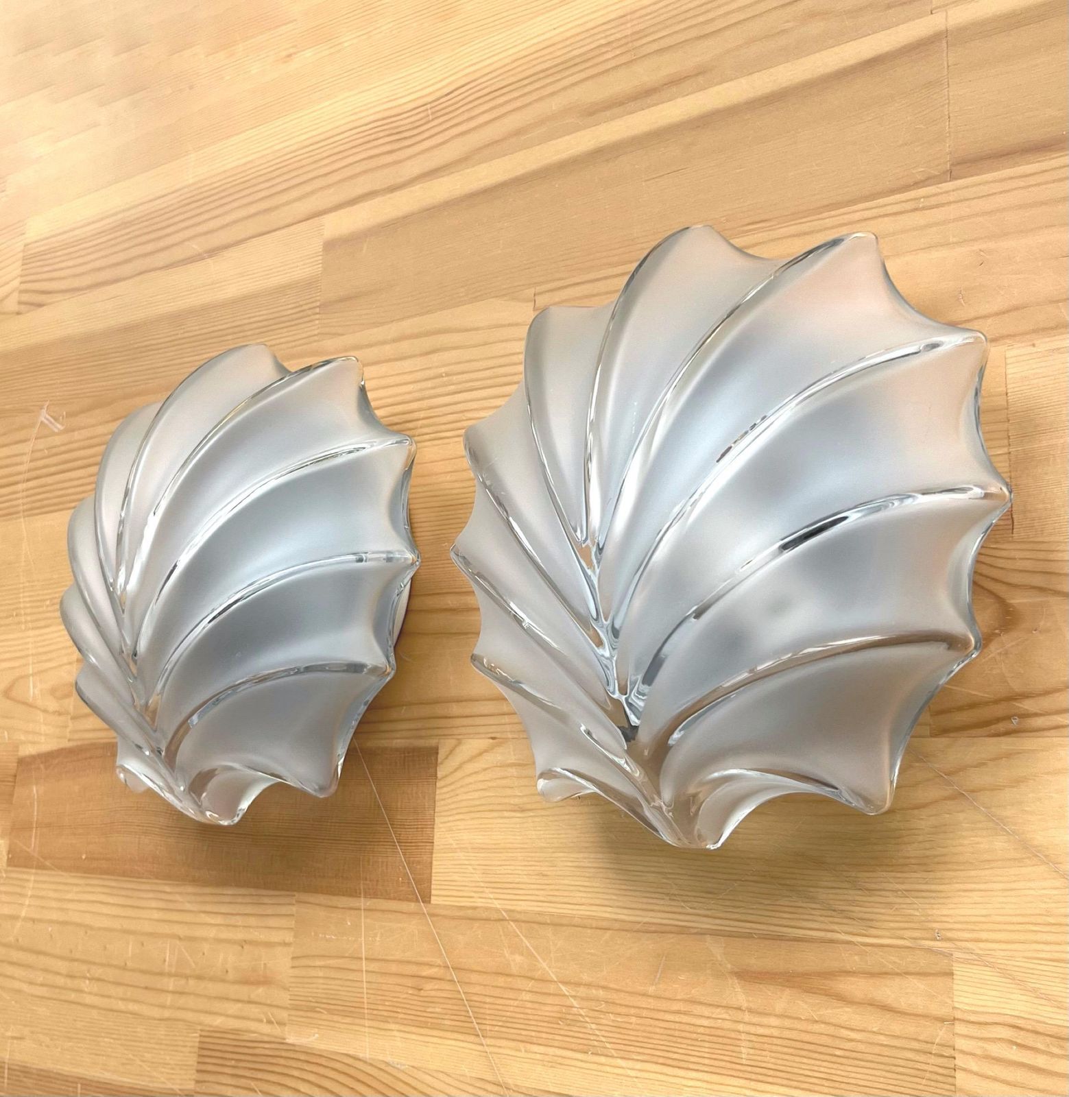 German Mid Century Shell Clear Glass Pair Of Wall Sconces By Hillebrand, 1970s photo Lighting
