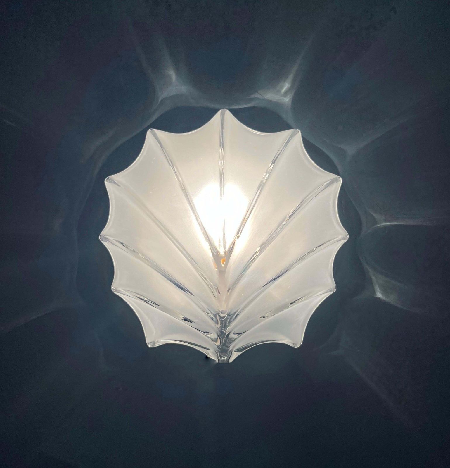 German Mid Century Shell Clear Glass Pair Of Wall Sconces By Hillebrand, 1970s photo vintage