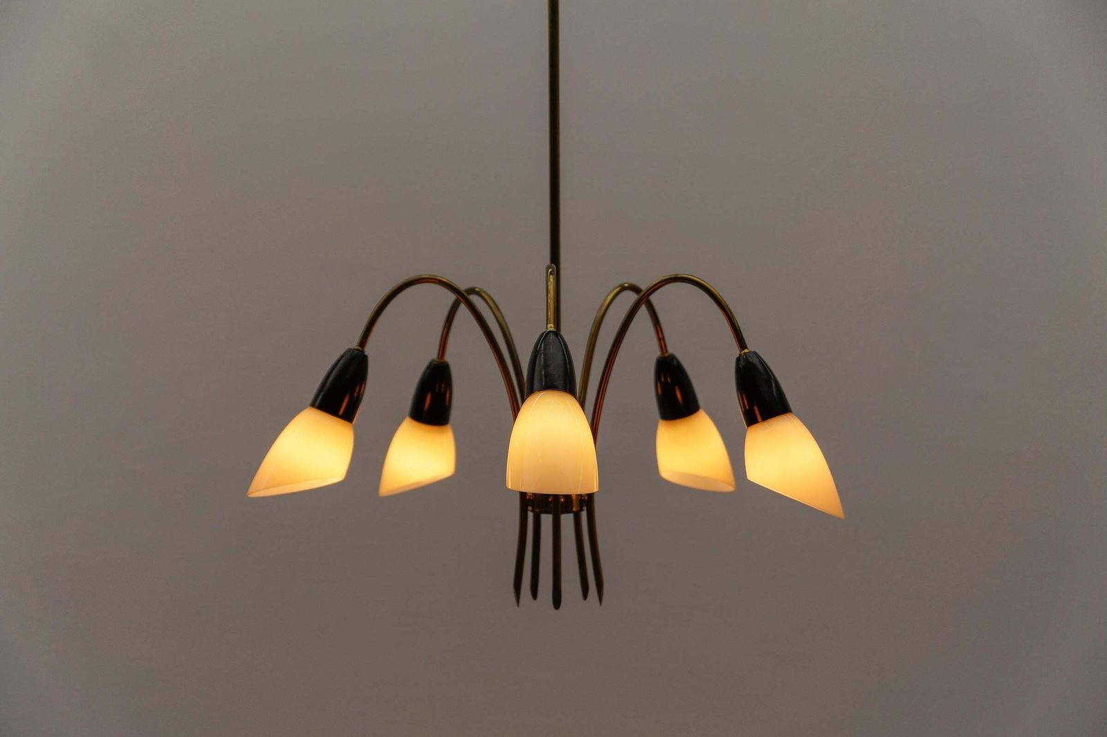 Awesome Brass Spider Lamp With Glass Shades, 1950s Italy photo 1062.0