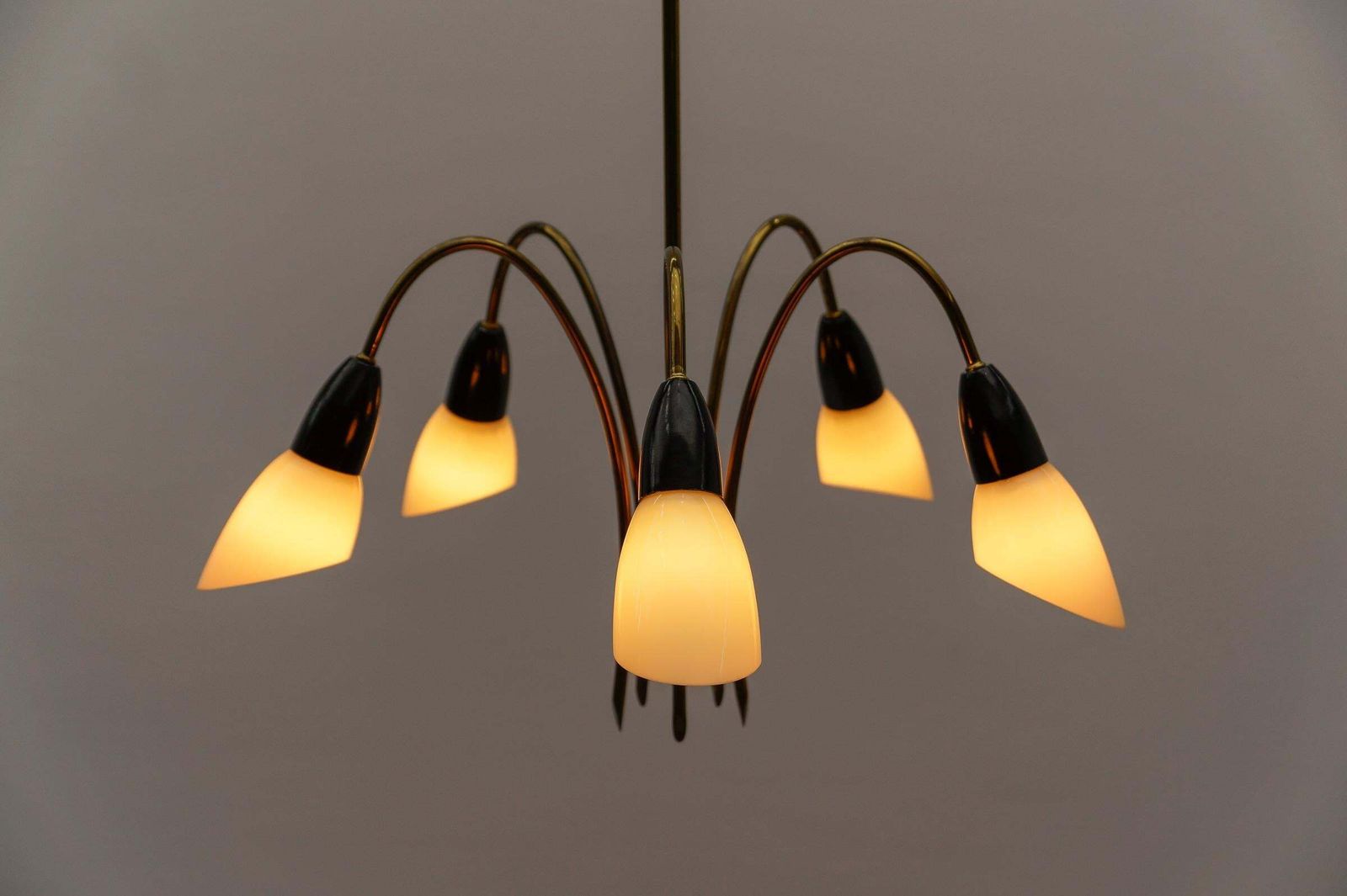 Awesome Brass Spider Lamp With Glass Shades, 1950s Italy photo vintage