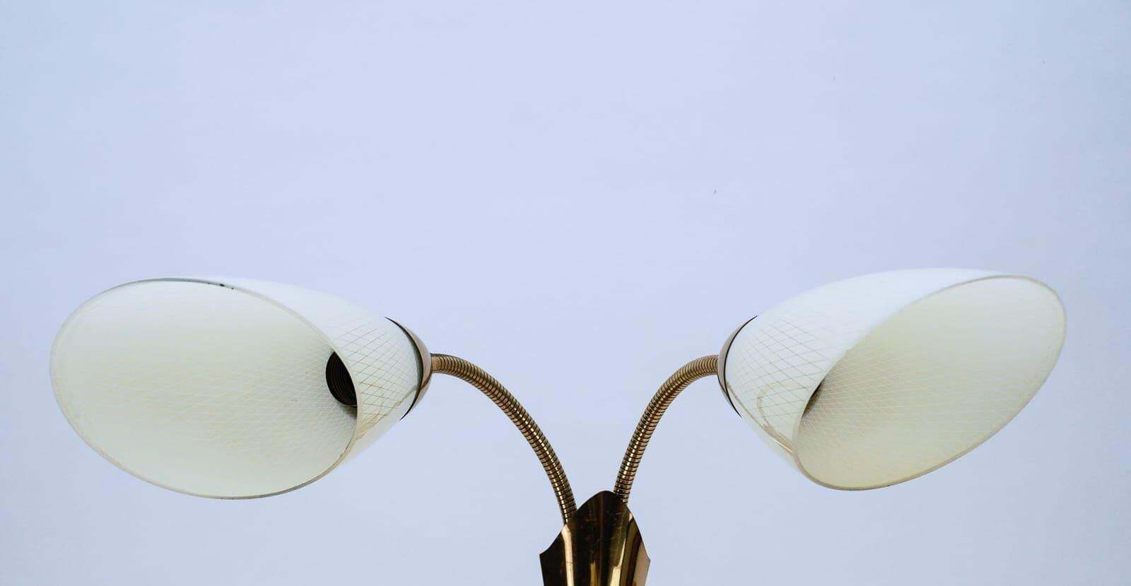 photo for sale Pair Of Double Arm Wall Lamps With Flexible Arms From The 1950s, Probably Italy