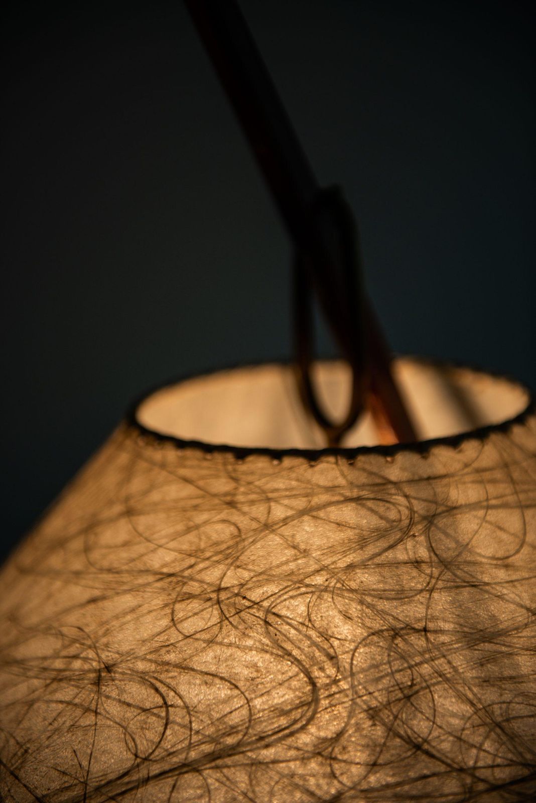 photo buy J.T Kalmar & A. Pöll Floor Lamp Model 2076 / Dornstab By J.T Kalmar In Vienna