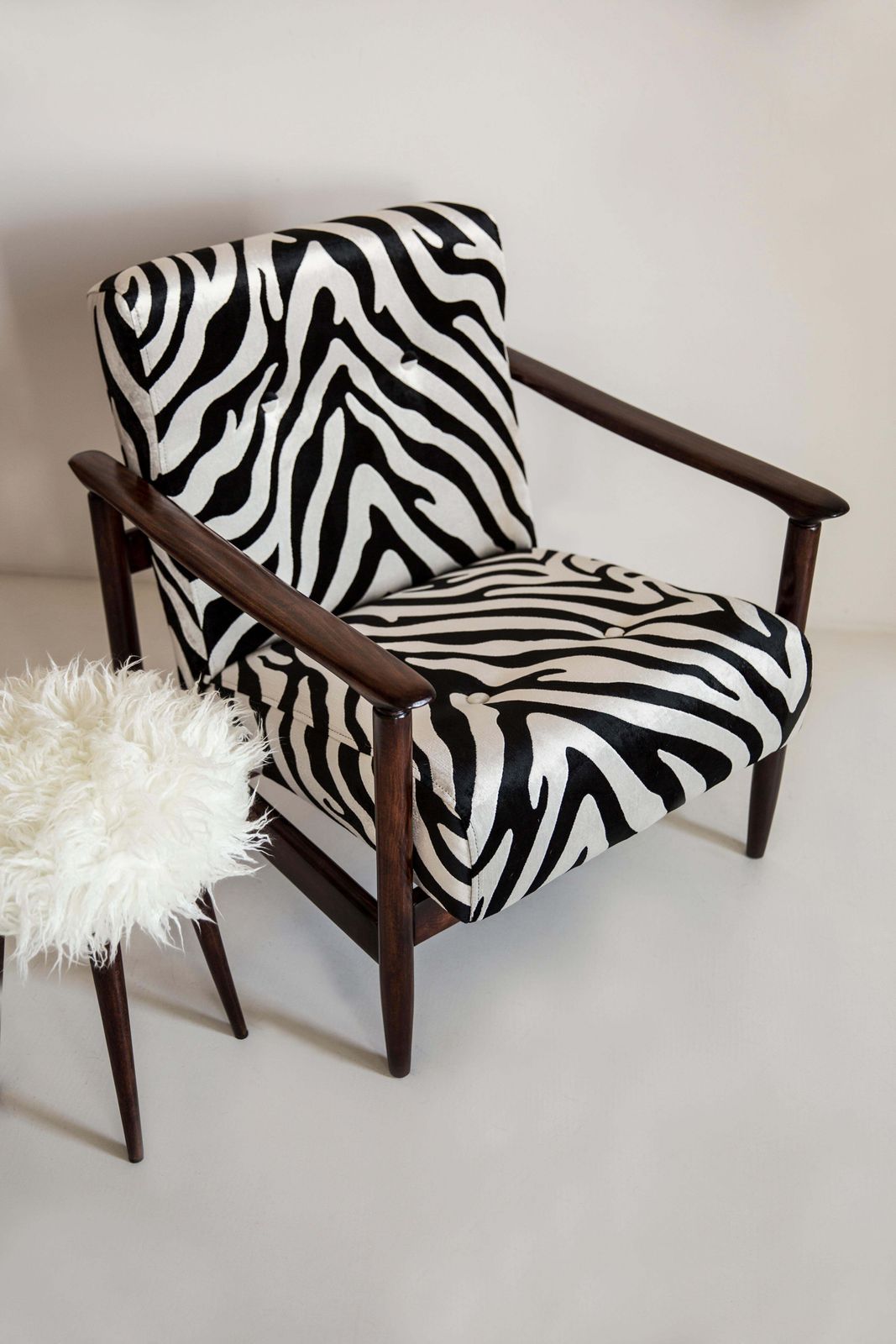 Paar Mid Century Fauteuils Met Zebravelours, Gfm 142, Edmund Homa, Europa, Jaren 1960 photo furniture