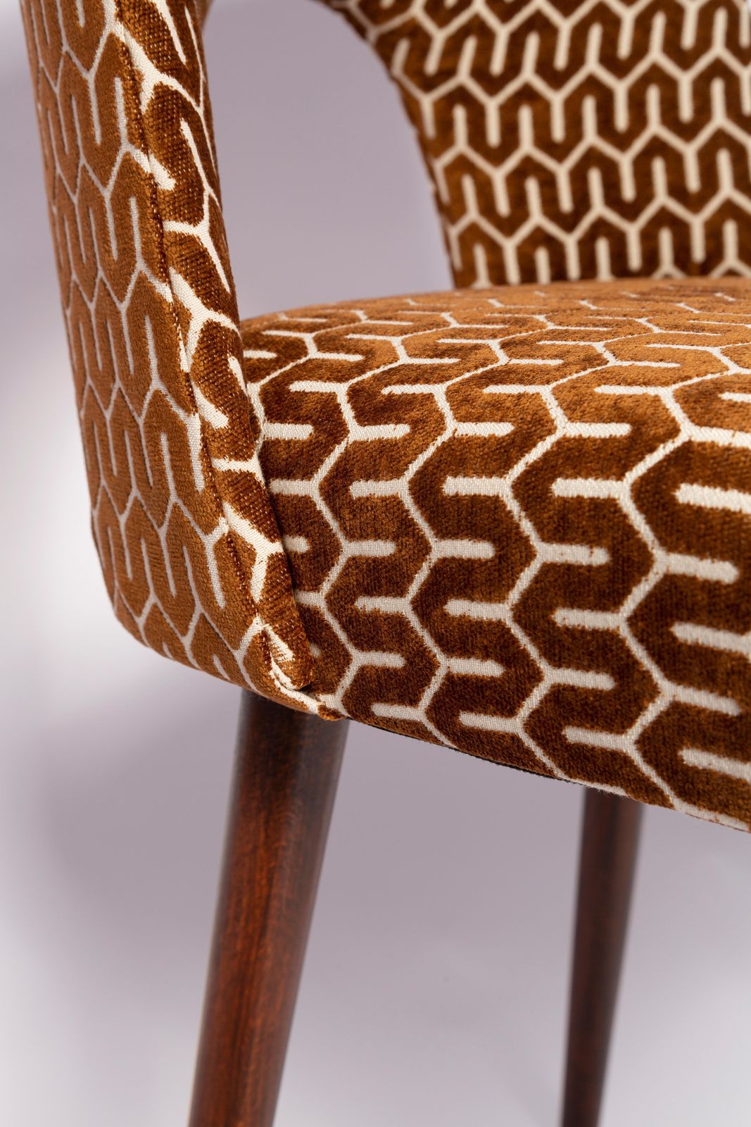Set Of Six Mid Century Chocolate Brown 'Shell' Chairs, Europe, 1960s photo Furniture
