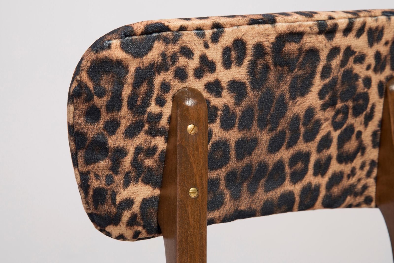 Six Mid Century Leopard Velvet Chairs, Walnut Wood, Rajmund Halas, Poland, 1960s photo buy