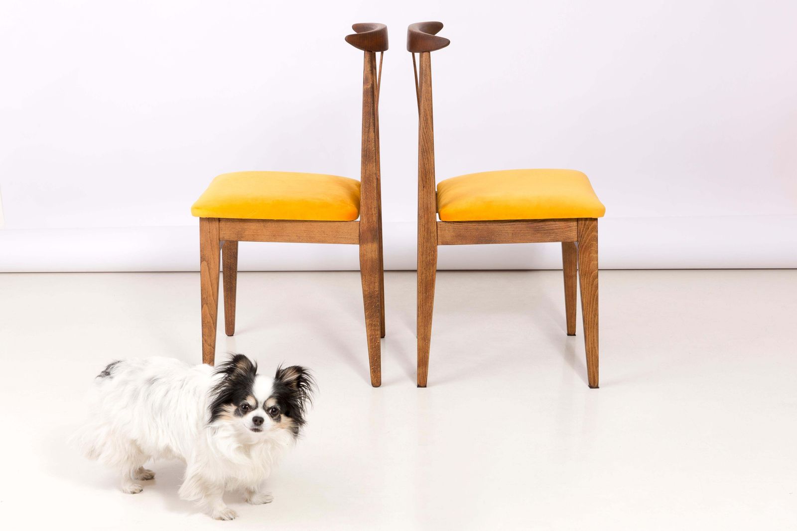 Set Of Eight Yellow Chairs, By Zielinski, Europe, 1960s photo Furniture