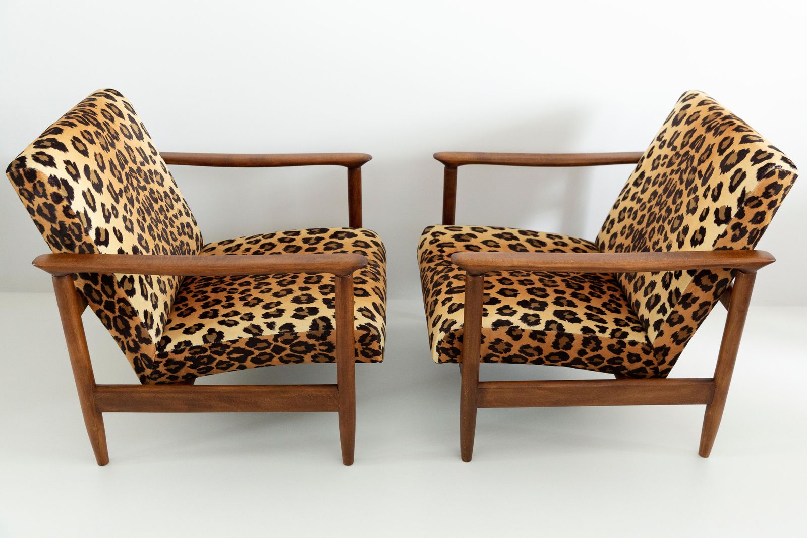 Set Van Twee Fauteuils Met Luipaardprint Fluweel, Edmund Homa, Gfm 142, Jaren 1960, Polen photo 2976.0