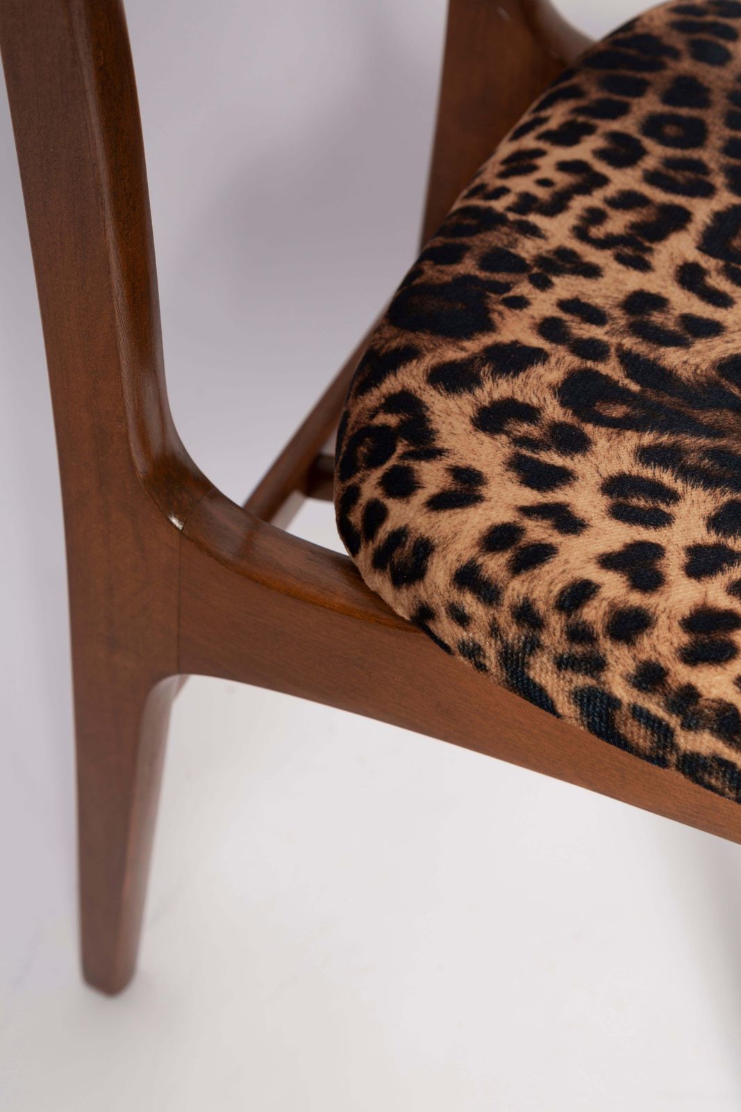 Six Mid Century Leopard Velvet Chairs, Walnut Wood, Rajmund Halas, Poland, 1960s photo buy