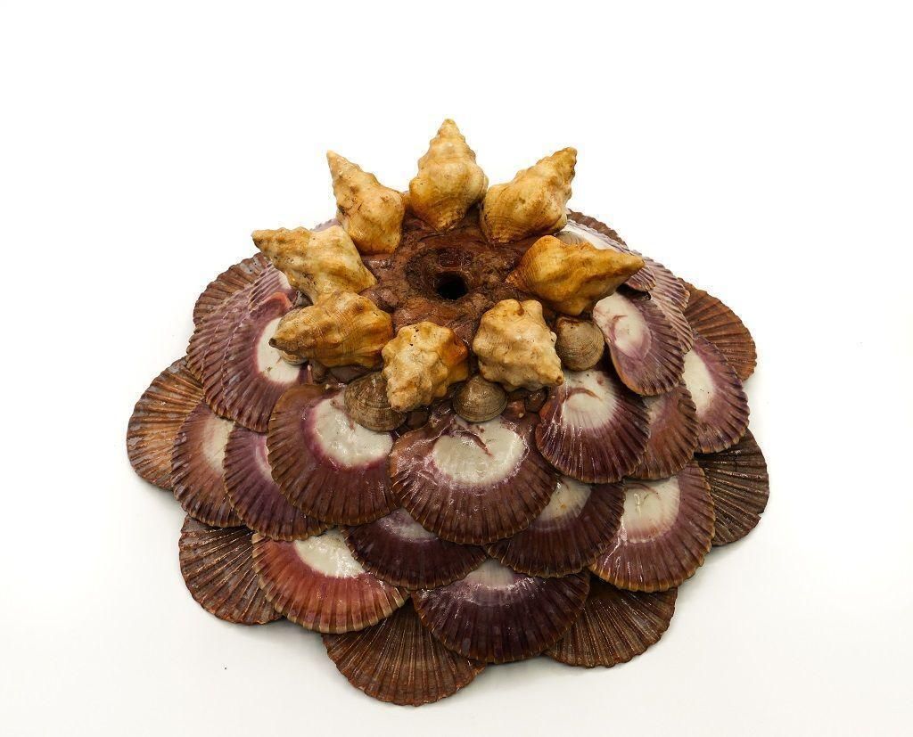 Marine Shells Cachepot, Mid 20th Century photo Home Decor
