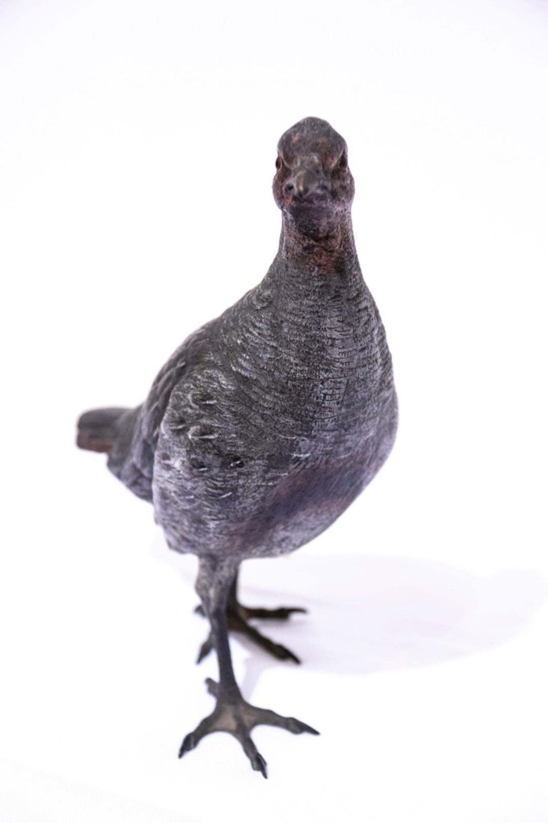 Vintage Bronze Pigeon Sculpture, France, 1950s photo for sale