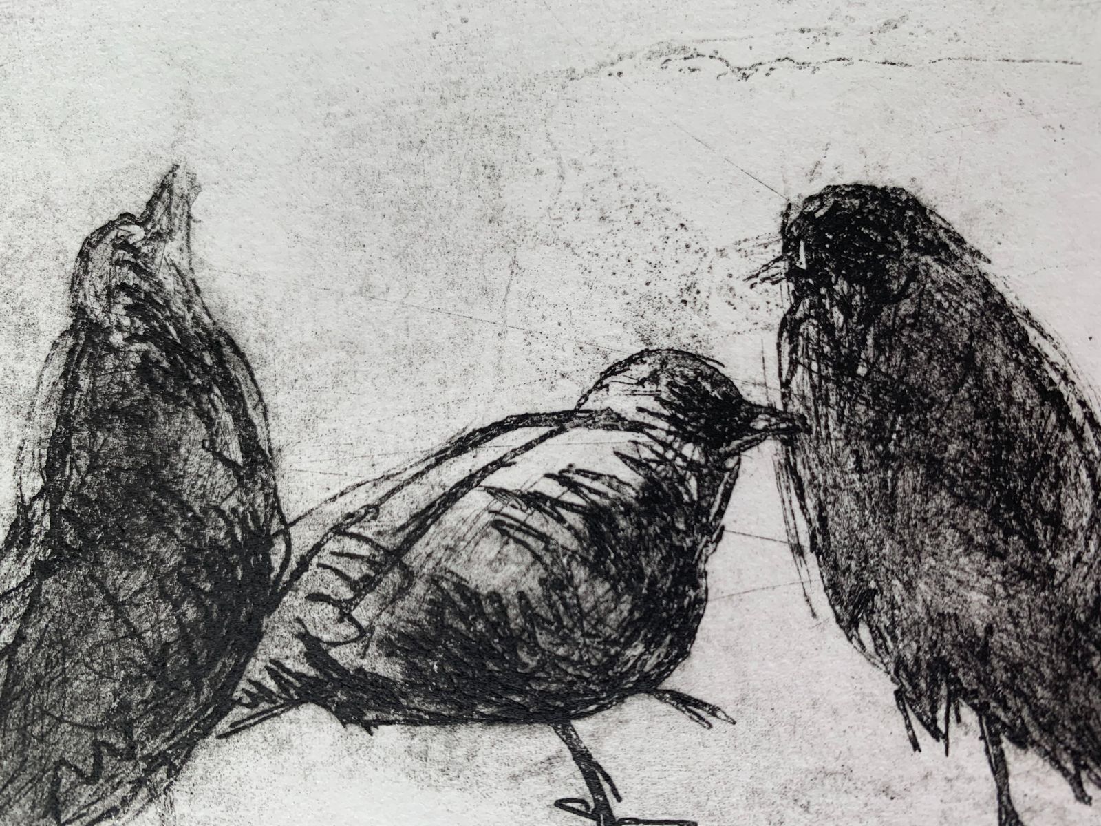 Anna Mikkebirds   Xxi Century, Figurative Print, Black And White, Animals2009 photo vinterior