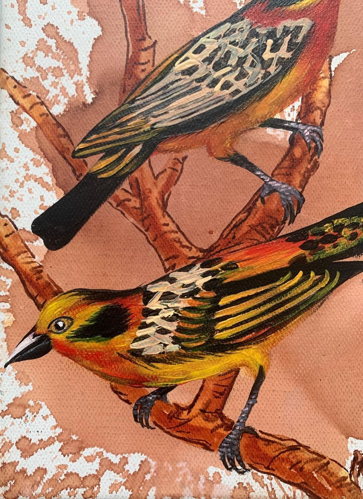 Magdalena Nałęczbirds 5. Figurative Small Scale Oil Painting, Realistic, Animals, Polish Art2024 photo 340.0