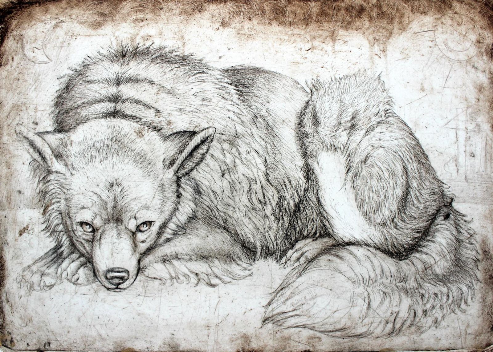 Maria Korusiewiczbeware Of Dogs II   Contemporary Art, Figurative Print, Old Masters Inspiredunknown