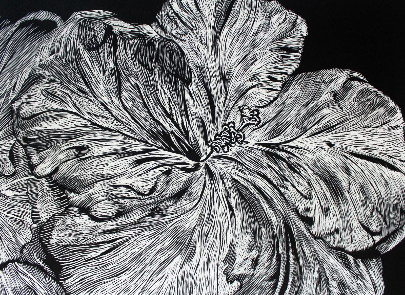 Marta Bozykhibiscus   Xxi Century, Linocut, Flower, Contemporary Figurative Art2018 photo Art