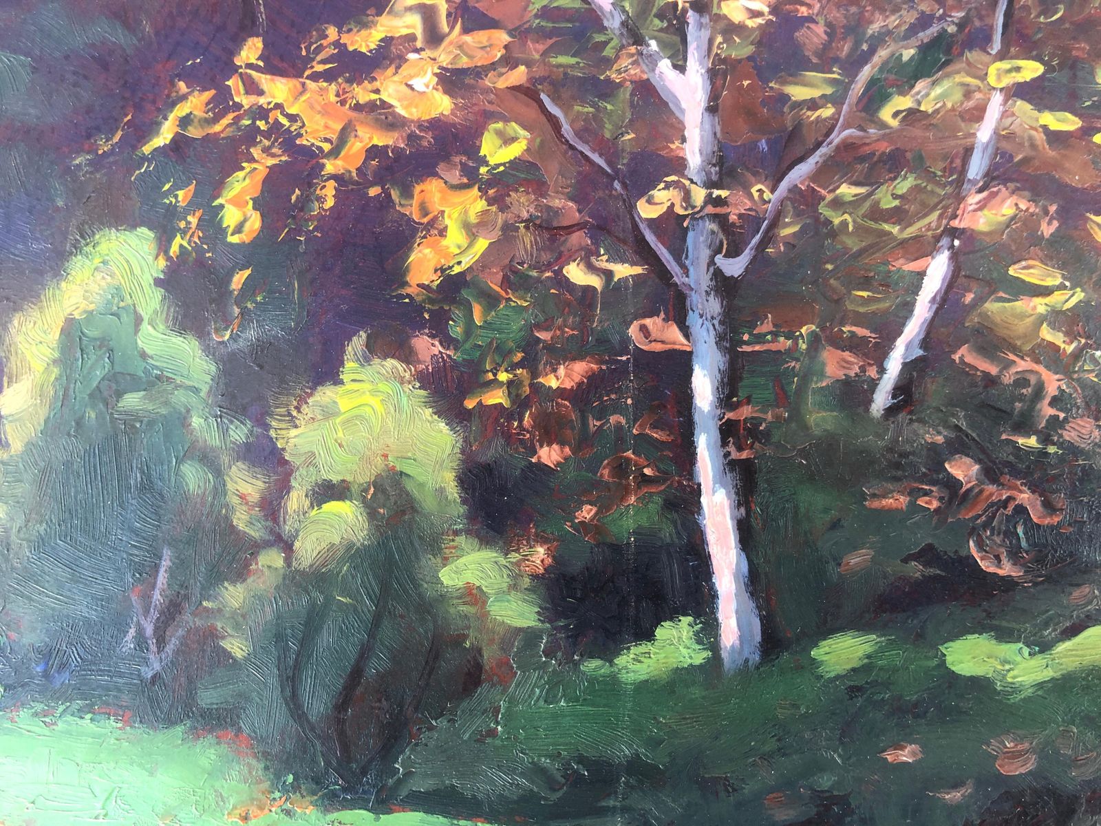 Unknown Spanish School Mediterranean Impressionist Autumn Landscape With Path Oil Signed 1960s photo for sale