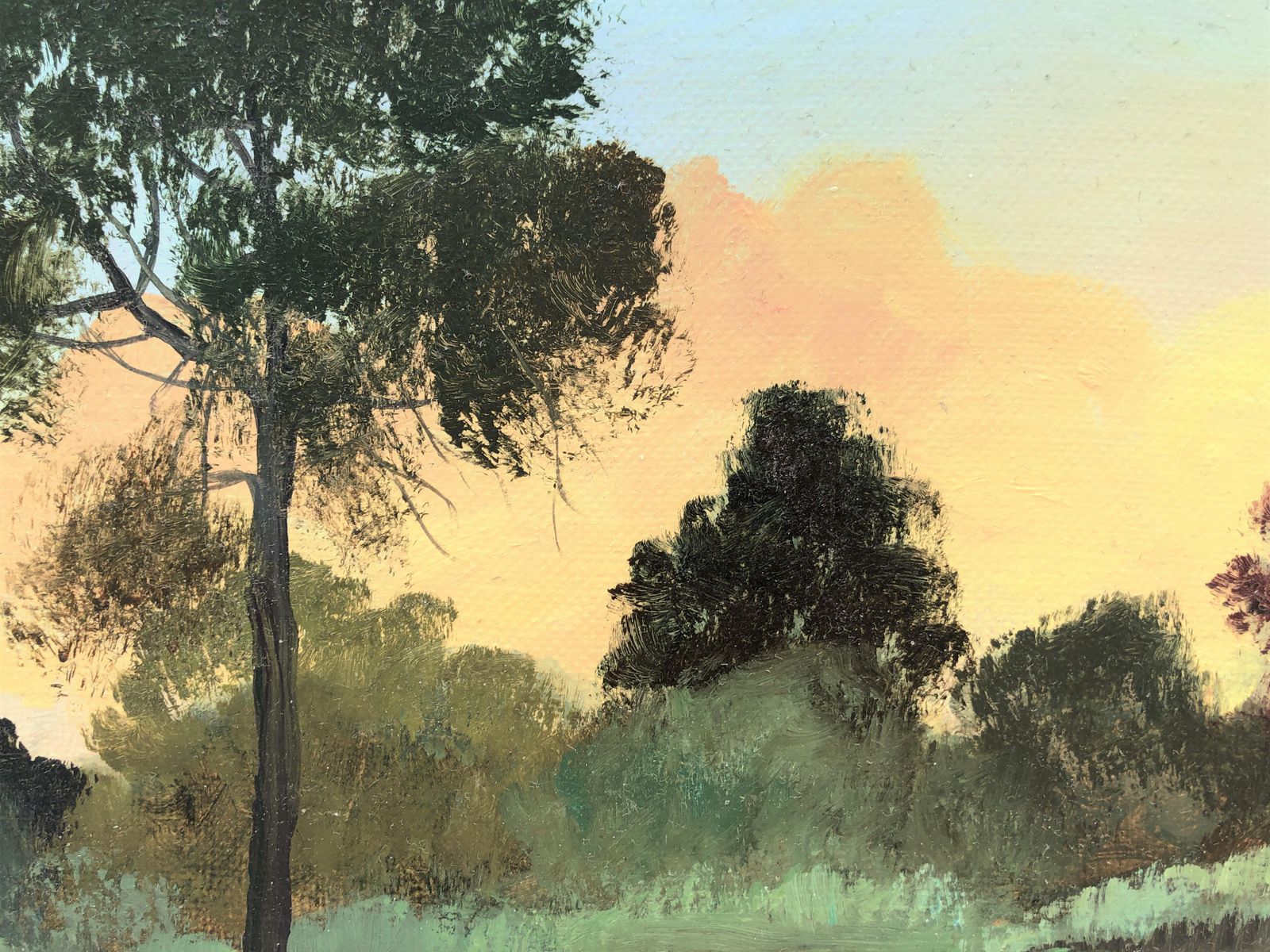 Alberto Biesok Mediterranean Sunset Forest Landscape Oil Painting Spanish Impressionist Style 2019 photo buy
