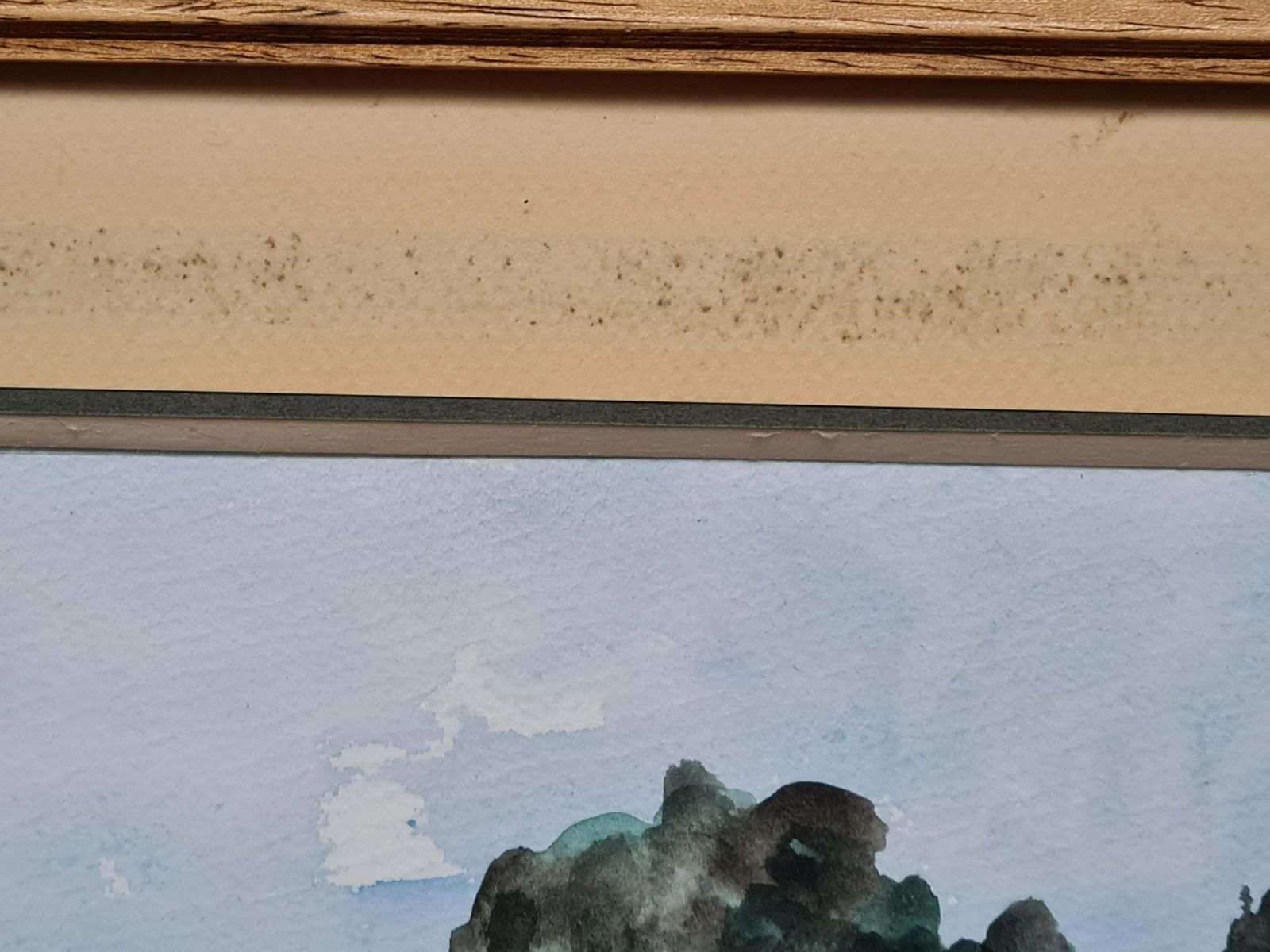 Roger Decauxtrees In A French Country Landscape. Watercolor. photo vintage
