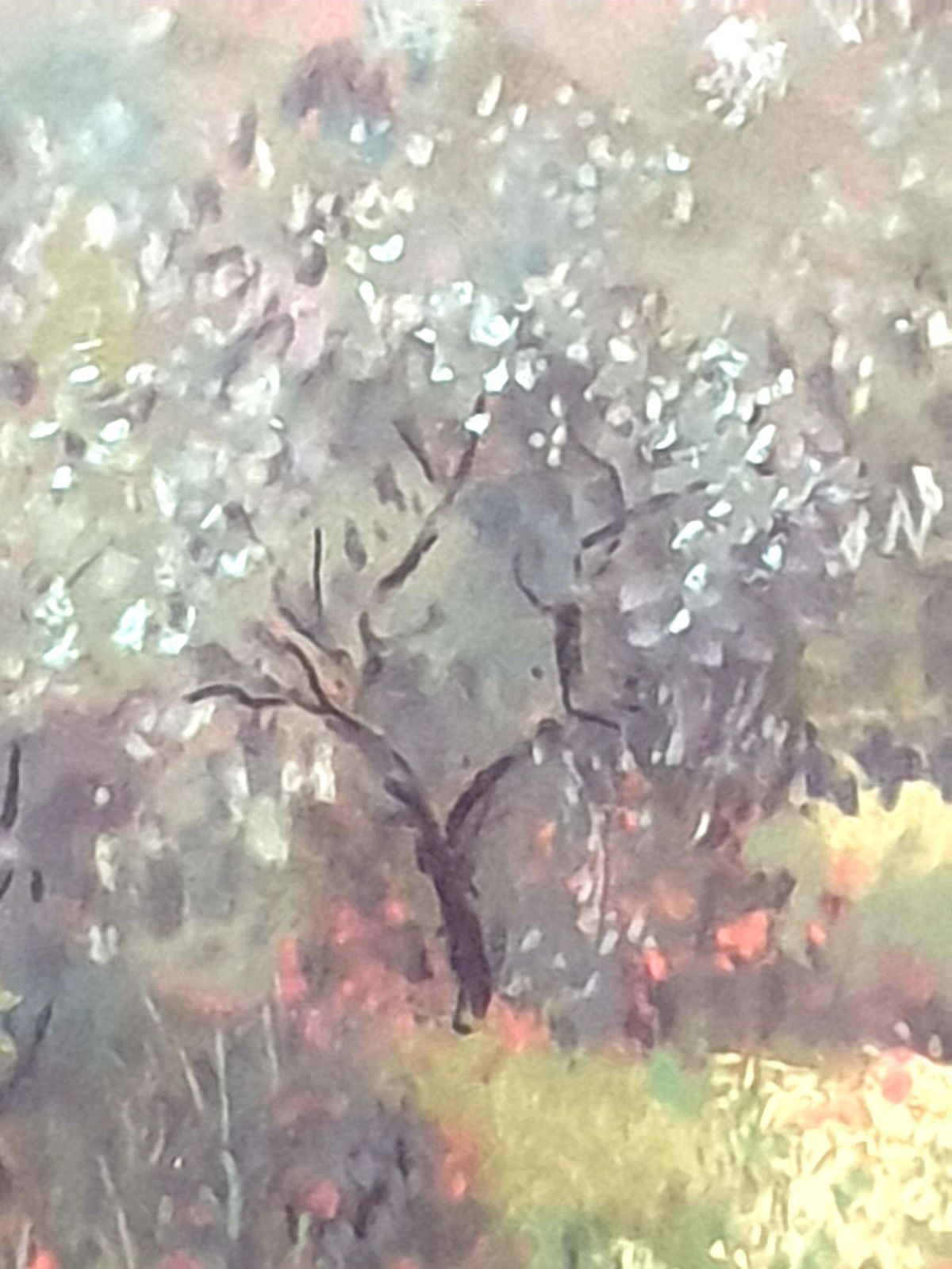 Art Miranda Mcarthur Olive Grove And Poppies, Contemporary Impressionist Pastel On Paper.2022 photo