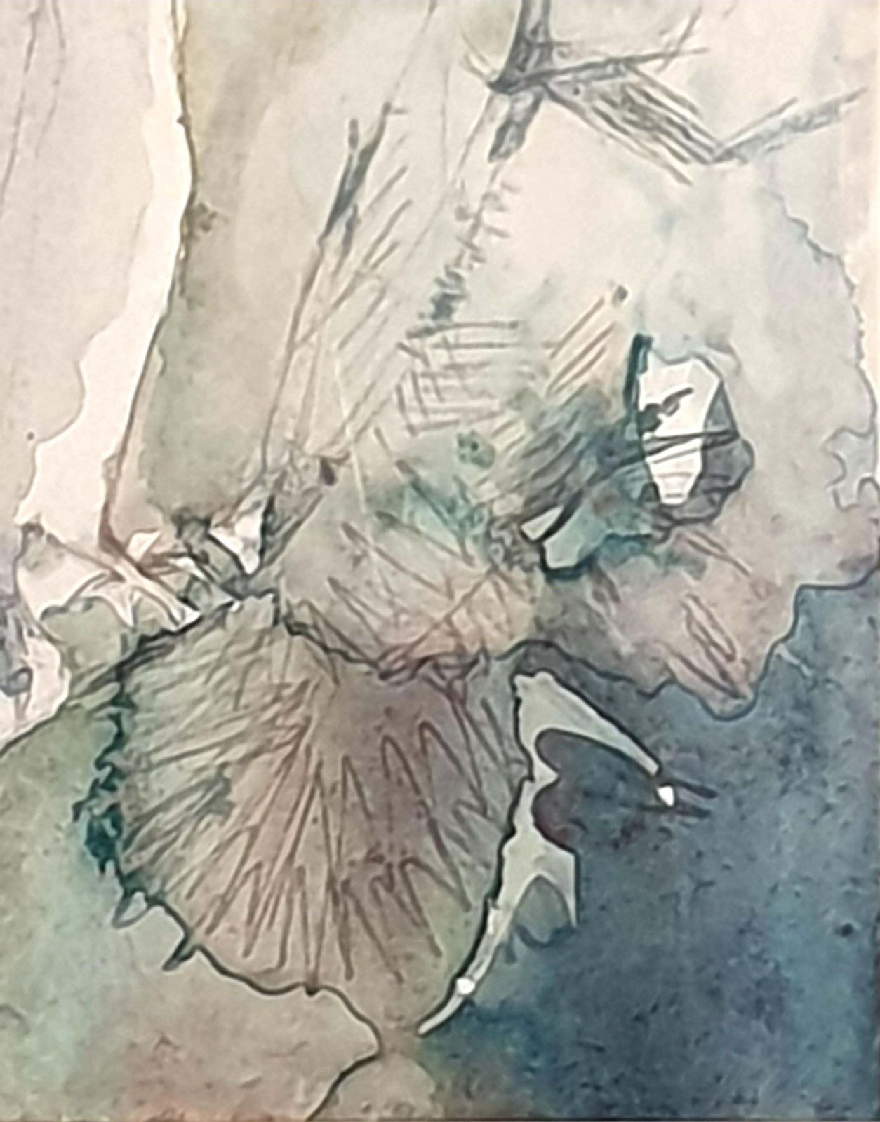 Ivy Baileymid Century Watercolour On Paper Of A Songbird. 'Ephemeral Songster'1936 photo 833.0