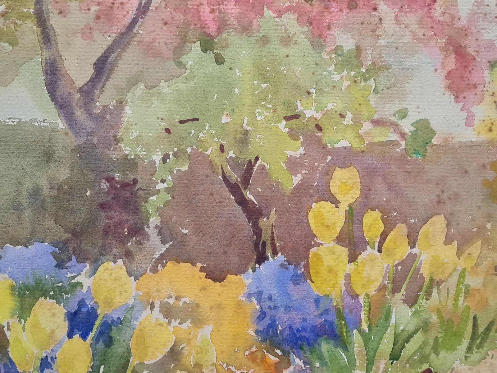 Songaan Impressionist Mediterranean Garden In Spring. Watercolor & Gouache On Paper. photo Art