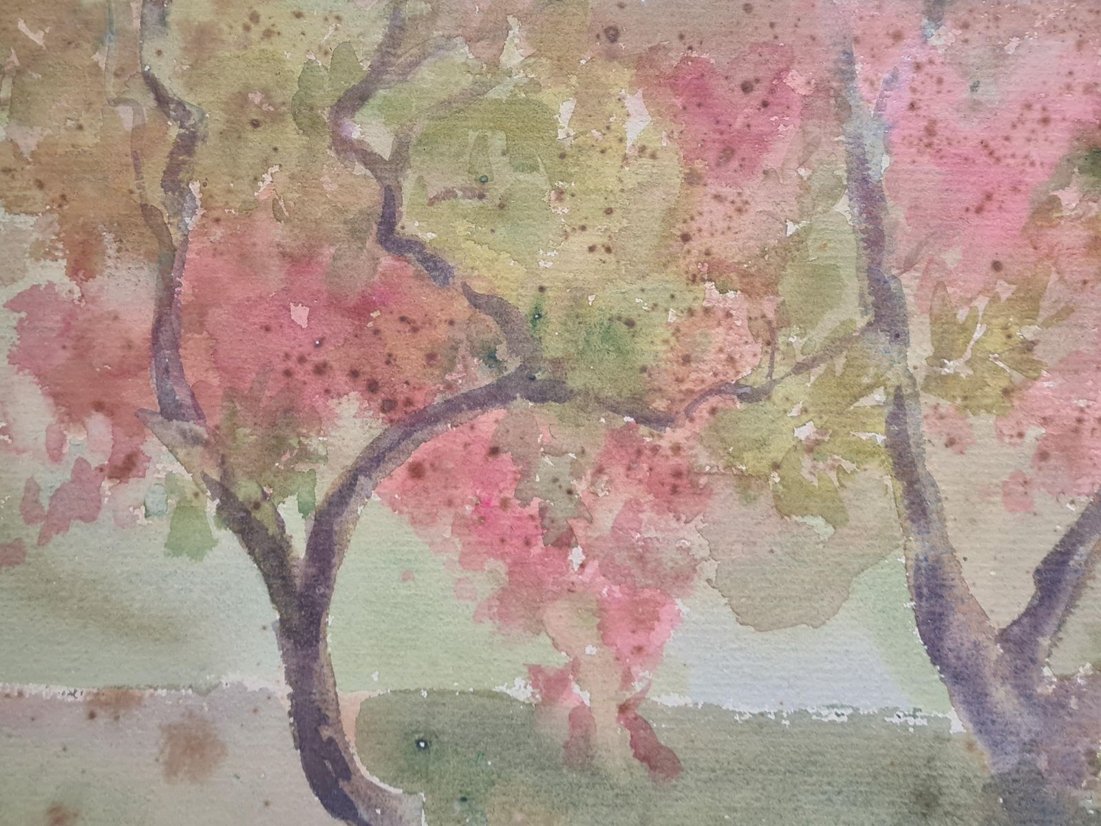 Songaan Impressionist Mediterranean Garden In Spring. Watercolor & Gouache On Paper. photo 510.0