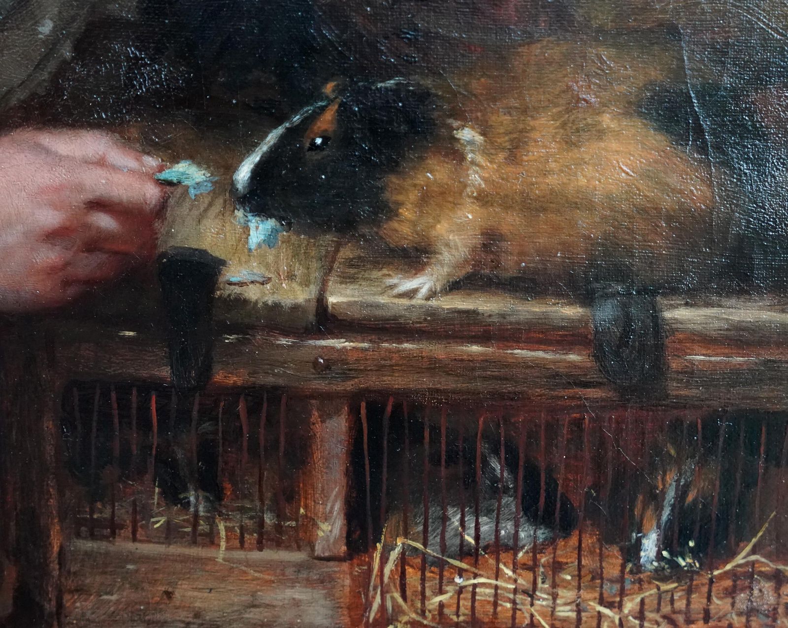 Henry Turner Munnsboy With Guinea Pig   British Victorian Animal Art Male Portrait Oil Painting1865 photo buy
