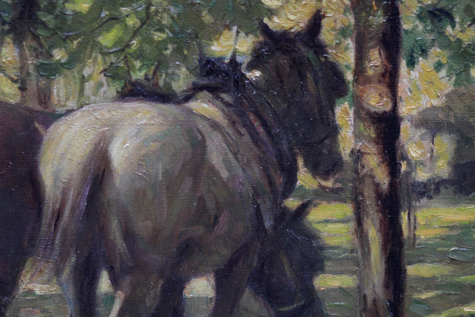 Arthur Spoonerportrait Of Horses In Dappled Sunlight   British 30's Impressionist Oil Paintingcirca 1935 photo 6937.0