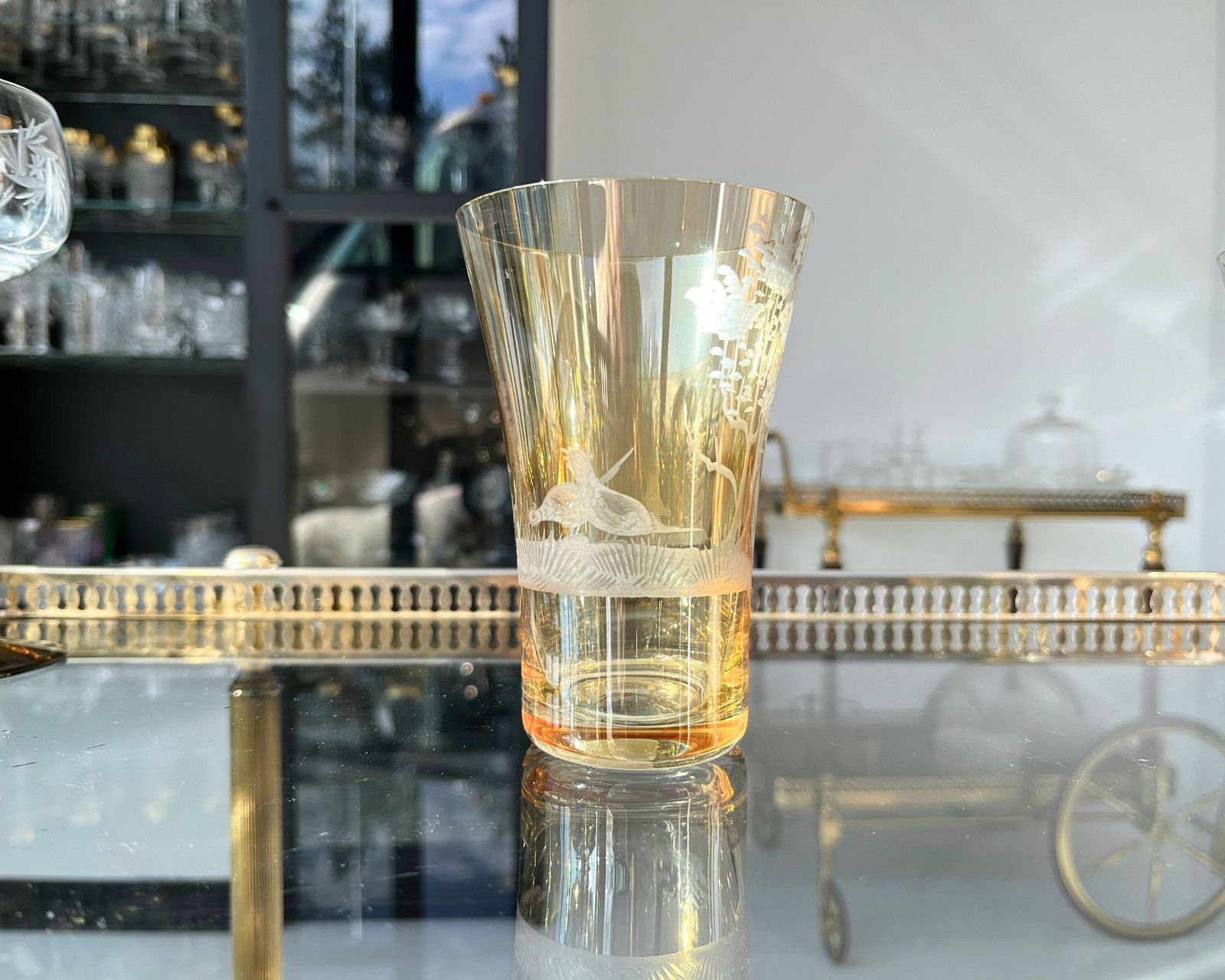 Engraved Color Water Glasses | 6pcs | Antique Glassware | Forest Decor photo 194.0