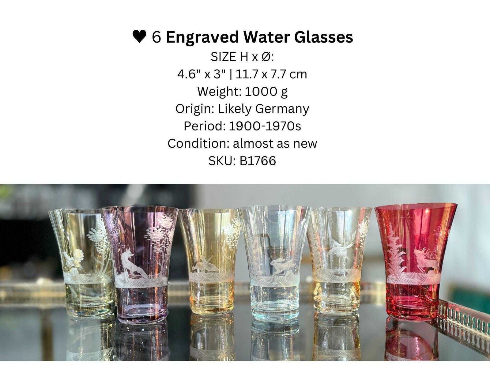 photo for sale Engraved Color Water Glasses | 6pcs | Antique Glassware | Forest Decor