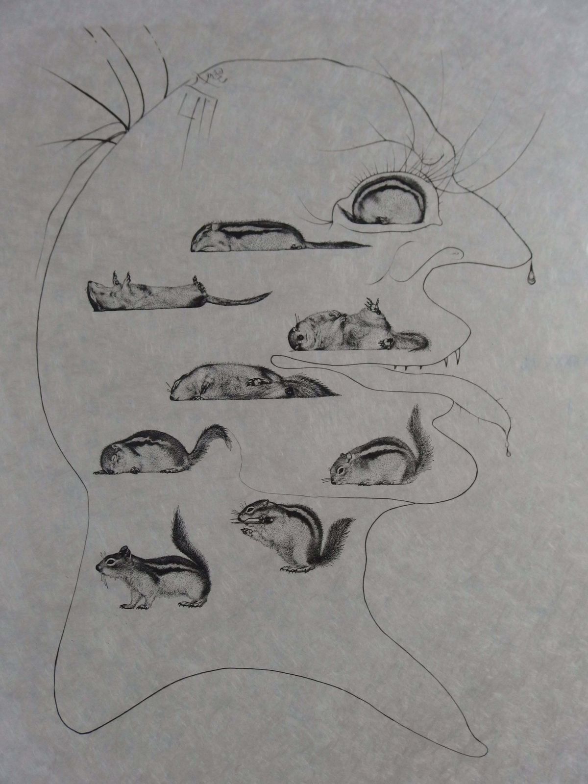 Salvador Dalí­Ten Recipes Of Immortality : Holography Of The Squirrel   Signed Etching1973 photo Art