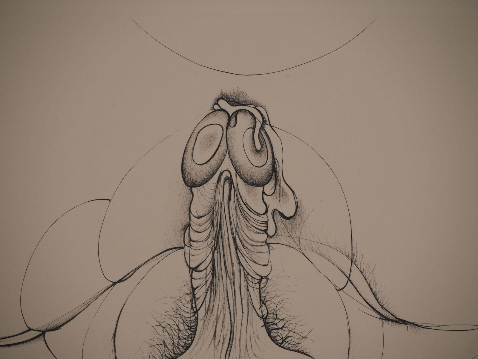 Hans Bellmerintimacy   Original Handsigned Etching   Limited /99 Copies (Flahutez #90)1971 photo Art