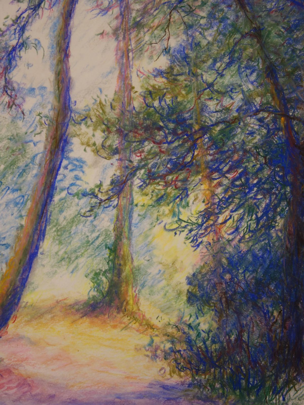 Gaston Coppensfirst Hours Of The Day In The Woods   Original Charcoals Drawing photo Art