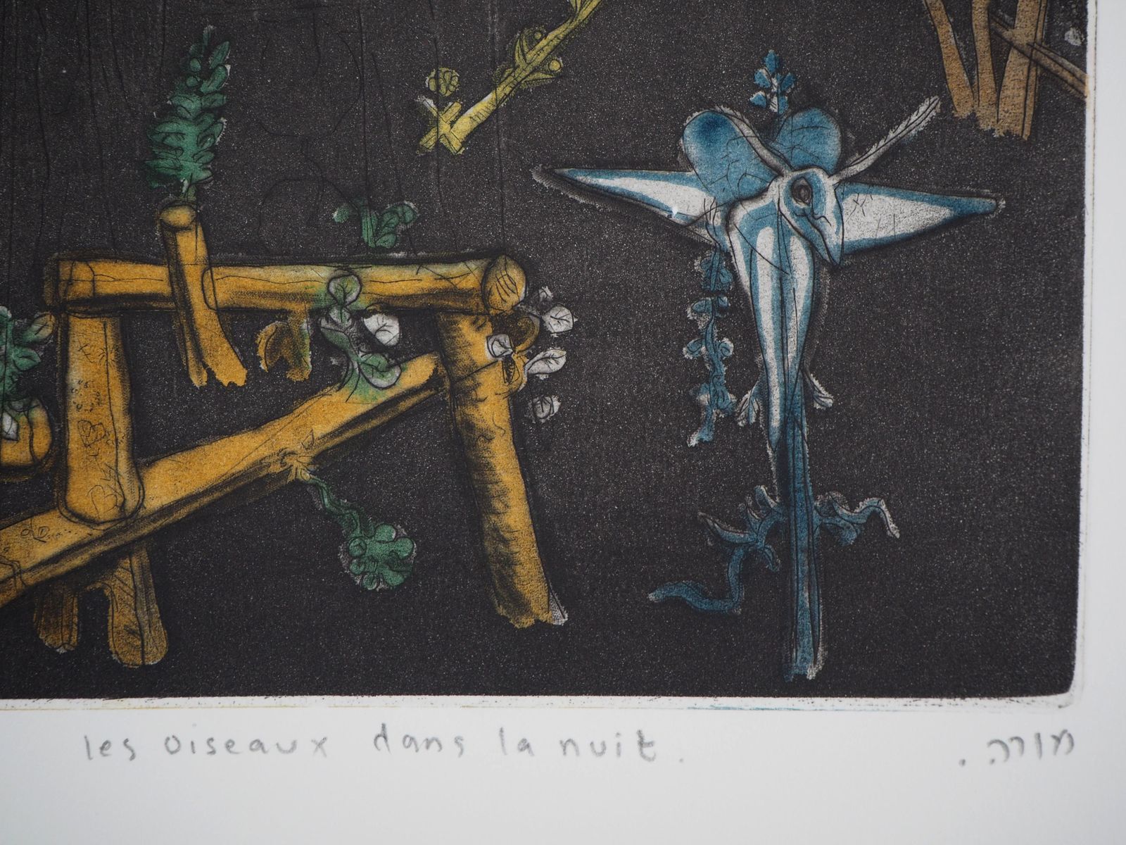Mordecai Morehthe Birds In The Night   Etching, Ltd 60 Copies photo buy