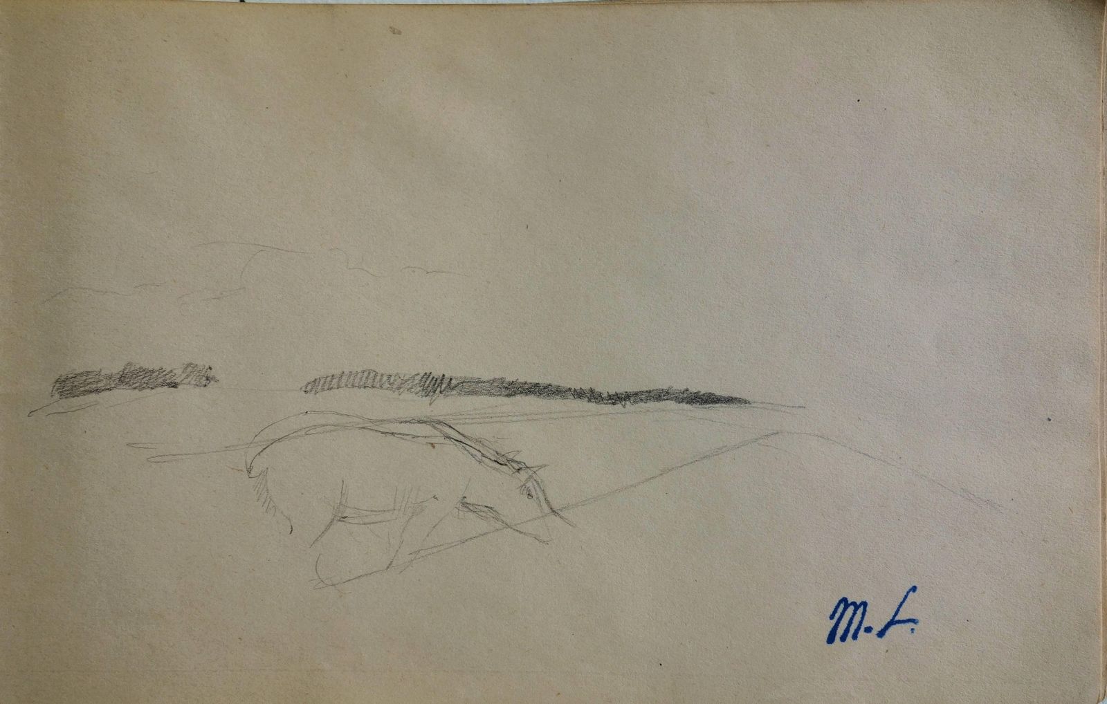 Marie Laurencinhorse In Landscape    Original Pencil Drawing
