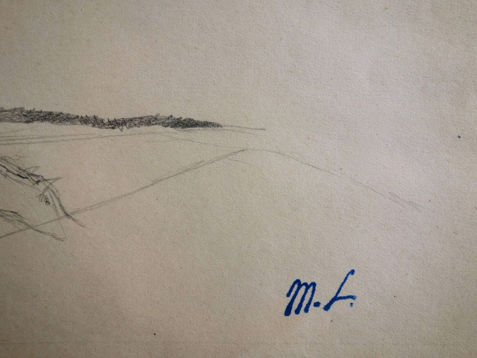 Marie Laurencinhorse In Landscape    Original Pencil Drawing photo for sale