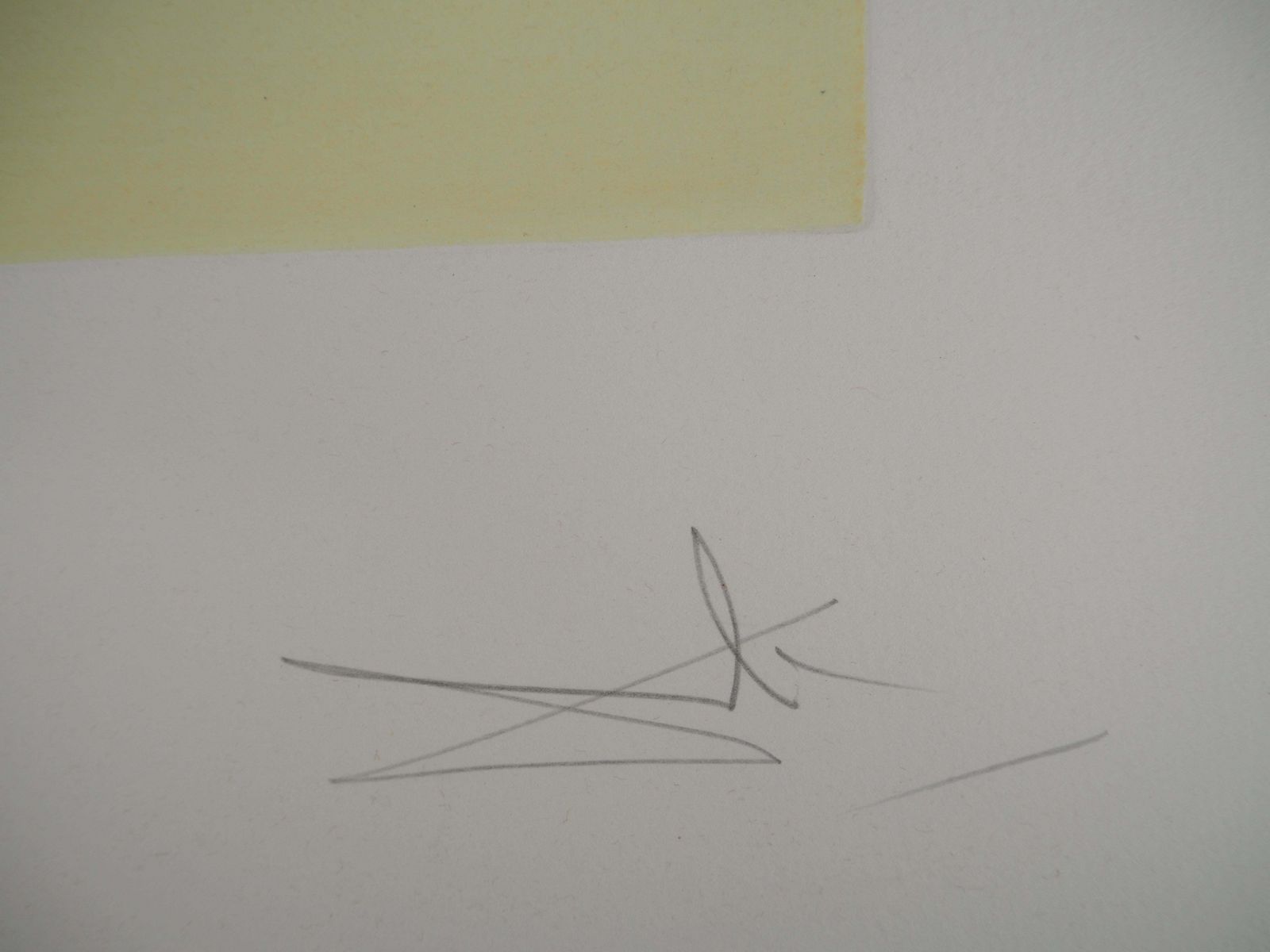 Salvador Dalí­Tribute To Da Vinci : Oil Catalytic Cracker   Original Etching Handsigned1975 photo buy