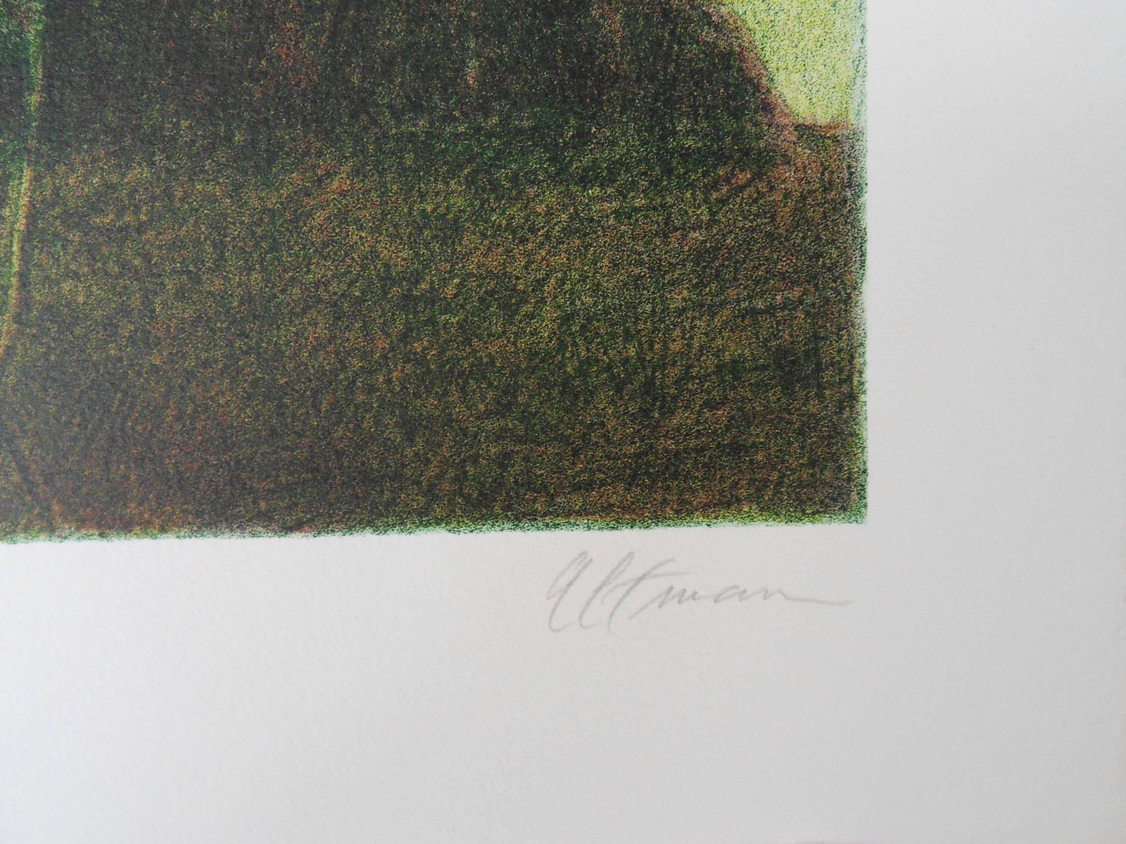 Harold Altmannew York : Break In Central Park   Original Handsigned Lithograph photo furniture